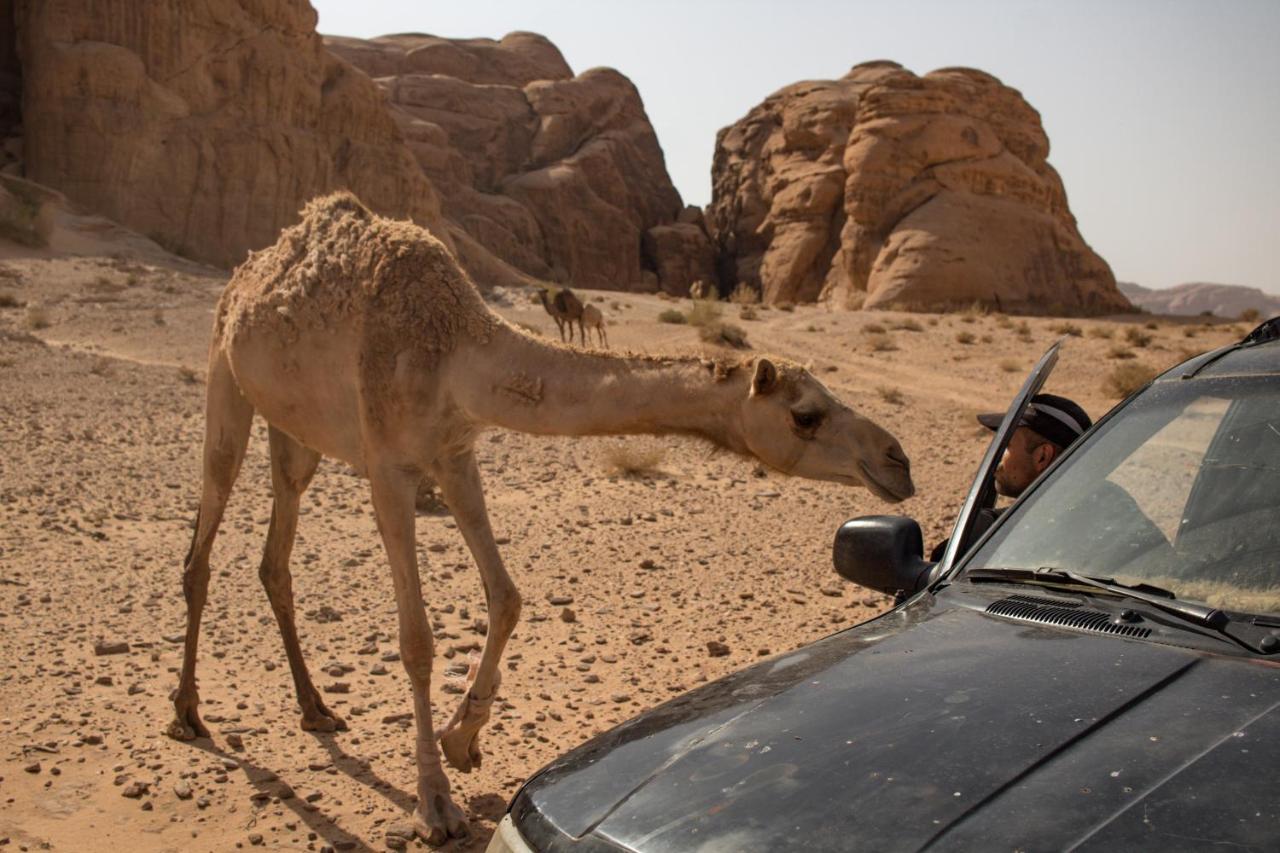 Wadi Rum Desert Home Екстер'єр фото